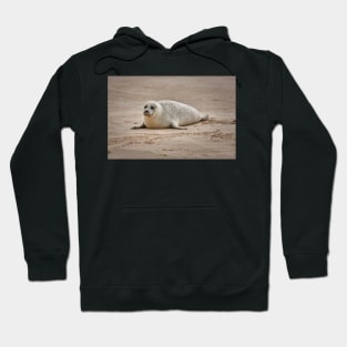 White common seal (Phoca vitulina) pup Hoodie